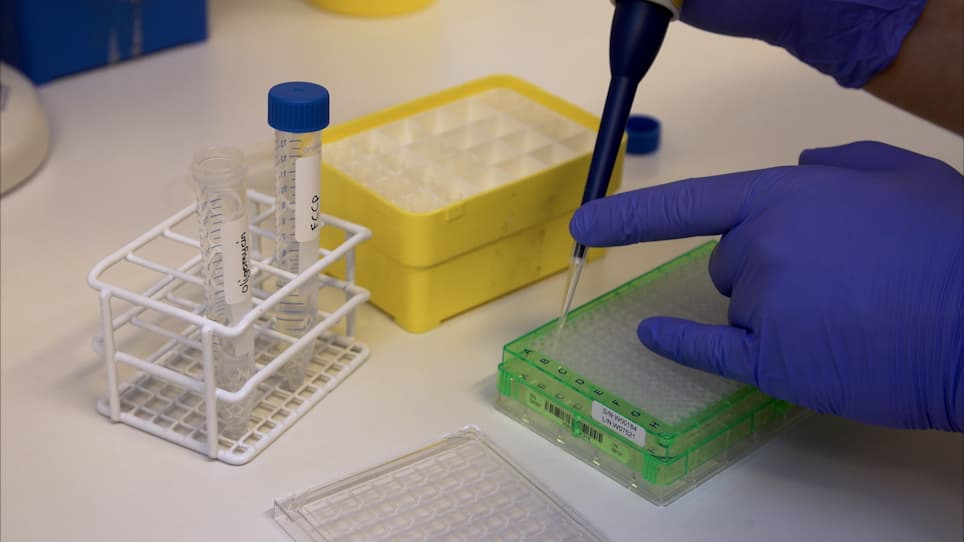 Real-time Monitoring of Mitochondrial Respiration in Cytokine-differentiated Human Primary T Cells