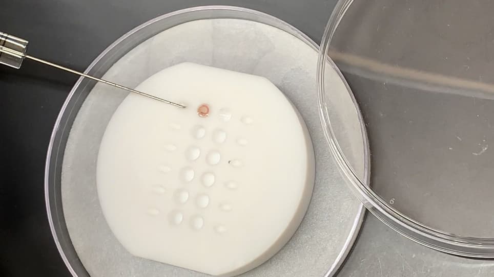 Sample Preparation using a Lipid Monolayer Method for Electron Crystallographic Studies