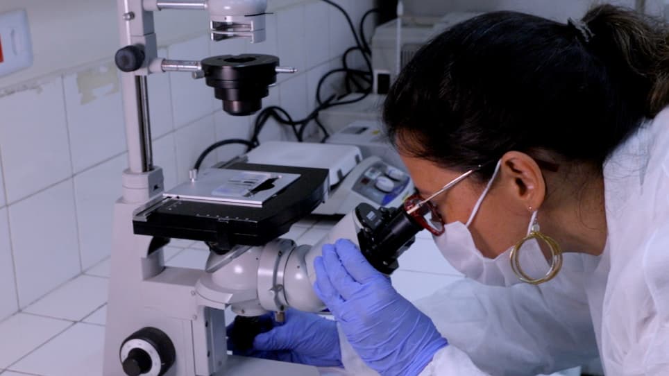 Technique for Obtaining Mesenchymal Stem Cell from Adipose Tissue and Stromal Vascular Fraction Characterization in Long-Term Cryopreservation