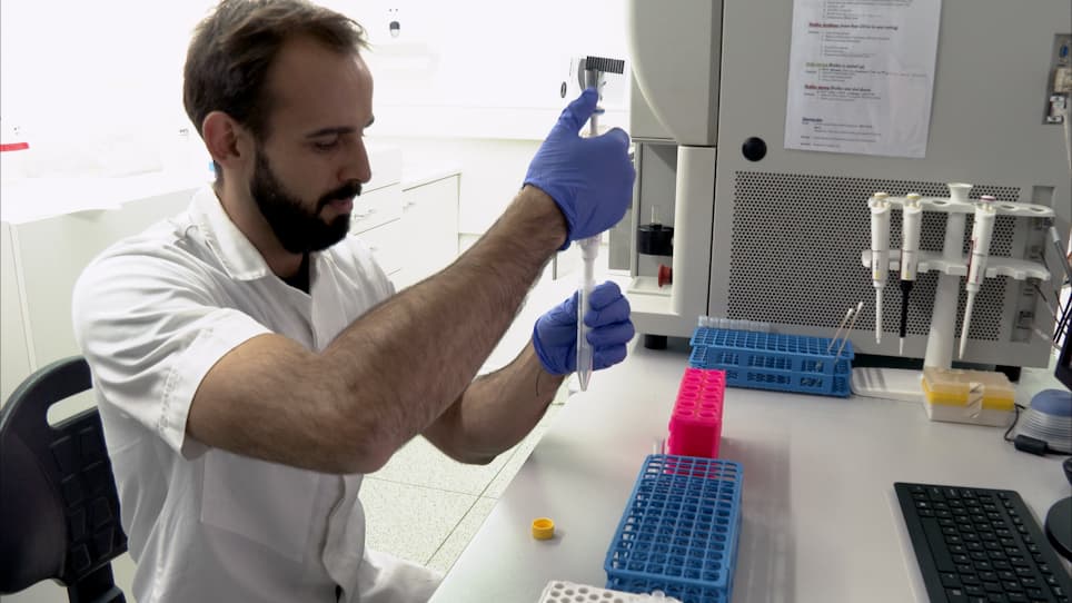 Rapid Isolation of Single Cells from Mouse and Human Teeth