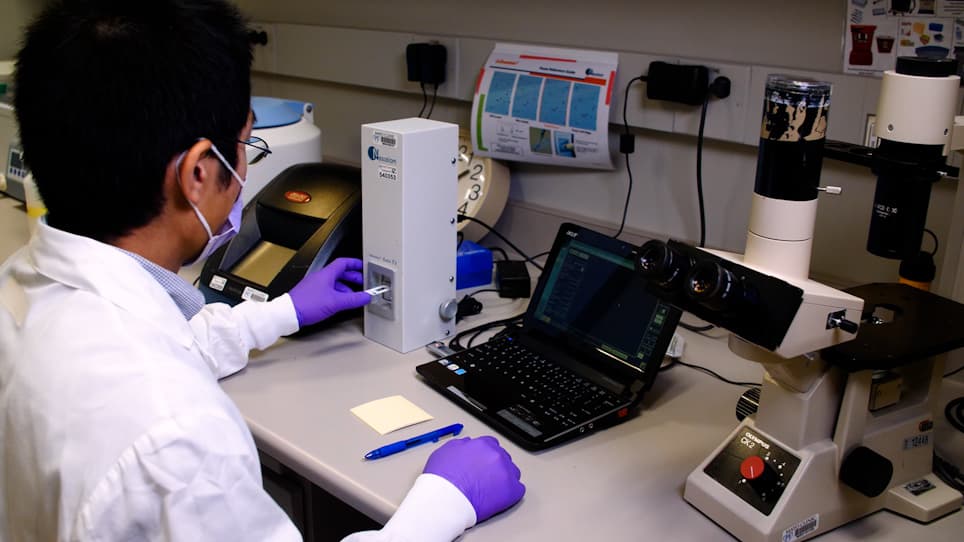 Isolation and Characterization of Mouse Primary Liver Sinusoidal Endothelial Cells