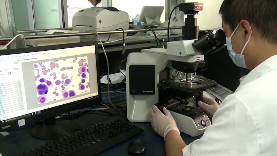 Interphase Fluorescence <em>in situ</em> Hybridization of Bone Marrow Smears of Multiple Myeloma