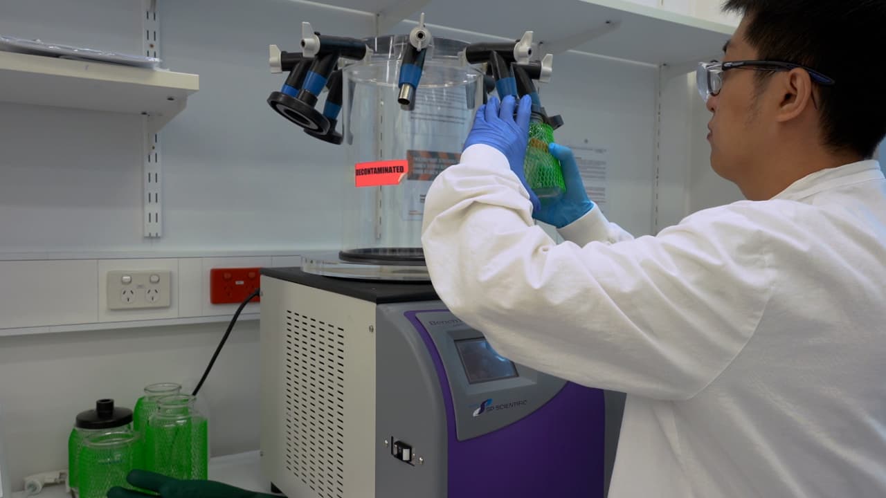 The Extraction of Liver Glycogen Molecules for Glycogen Structure Determination