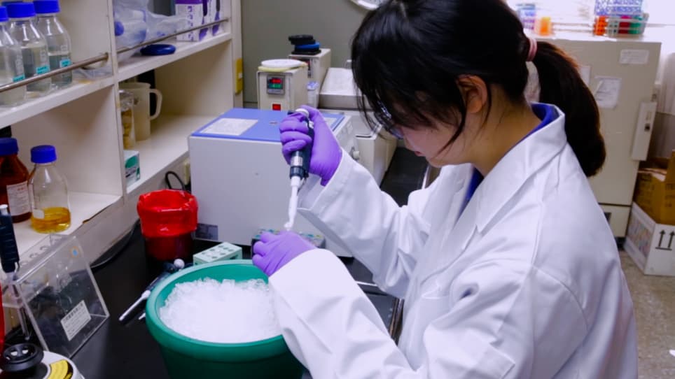 Uracil-DNA Glycosylase Assay by Matrix-assisted Laser Desorption/Ionization Time-of-flight Mass Spectrometry Analysis
