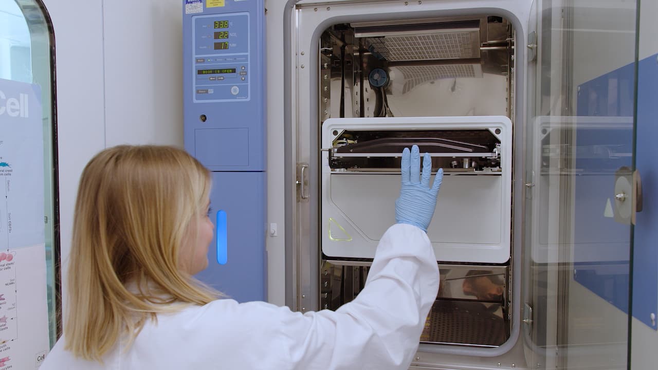 Live-3D-Cell Immunocytochemistry Assays of Pediatric Diffuse Midline Glioma