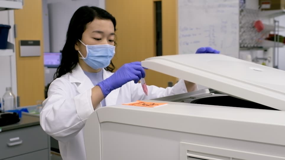 Generating Self-Assembling Human Heart Organoids Derived from Pluripotent Stem Cells