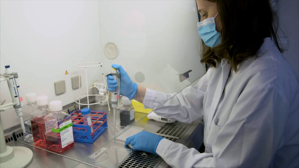 Injection of Porcine Adipose Tissue-Derived Stroma Cells via Waterjet Technology