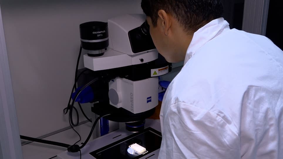 <em>Ex Utero</em> Culture of Mouse Embryos from Pregastrulation to Advanced Organogenesis