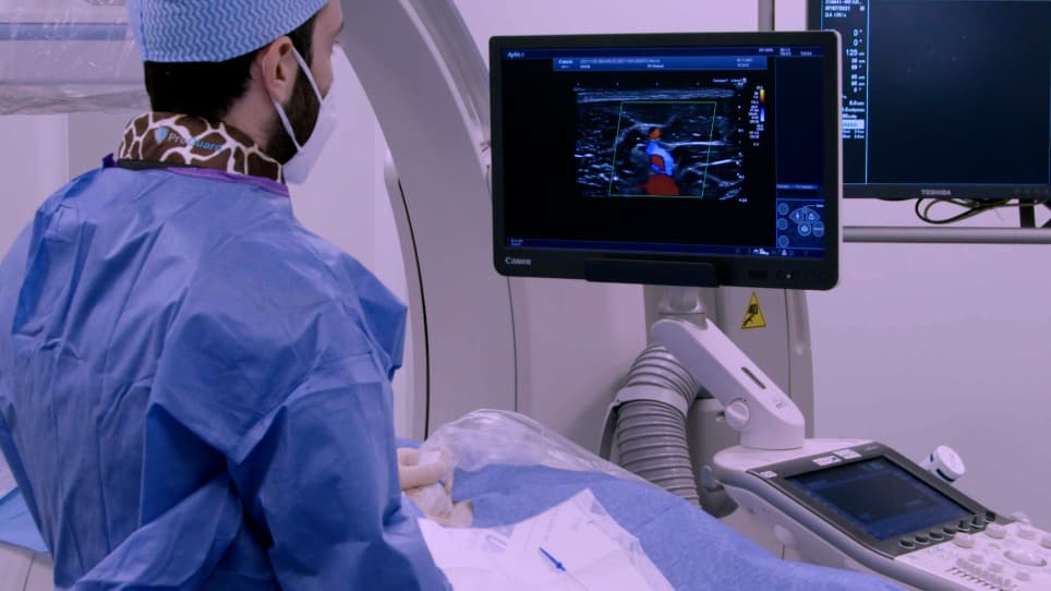 Myocardial Infarction by Percutaneous Embolization Coil Deployment in a Swine Model