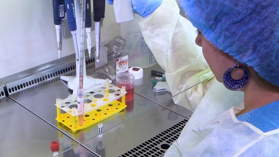 Primary Human Nasal Epithelial Cells: Biobanking in the Context of Precision Medicine