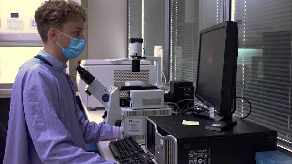 A Step-By-Step Method to Detect Neutralizing Antibodies Against AAV using a Colorimetric Cell-Based Assay