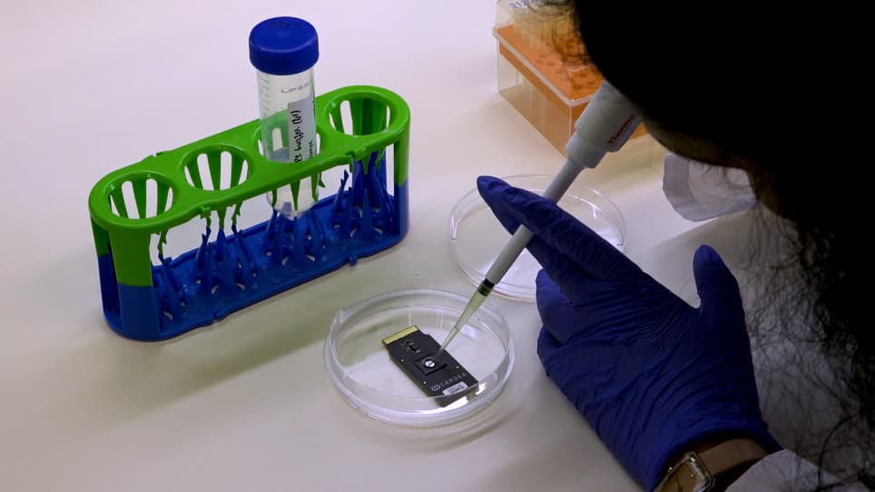 Exploring Biomolecular Interaction Between the Molecular Chaperone Hsp90 and Its Client Protein Kinase Cdc37 using Field-Effect Biosensing Technology
