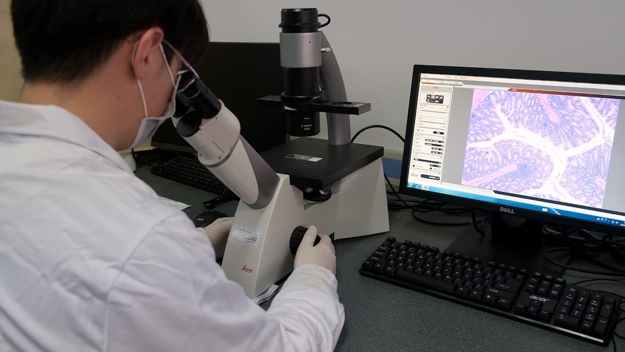Investigating the Alleviating Effects of <em>Bacillus cereus</em> Administration on Colitis through Gut Microbiota Modulation