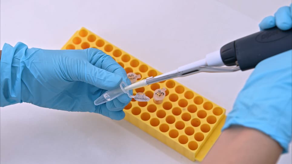 Cell-Type Specific Protein Purification and Identification from Complex Tissues Using a Mutant Methionine tRNA Synthetase Mouse Line