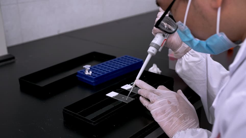 In Situ Hybridization Combined with Immunohistochemistry in Cryosectioned Zebrafish Embryos