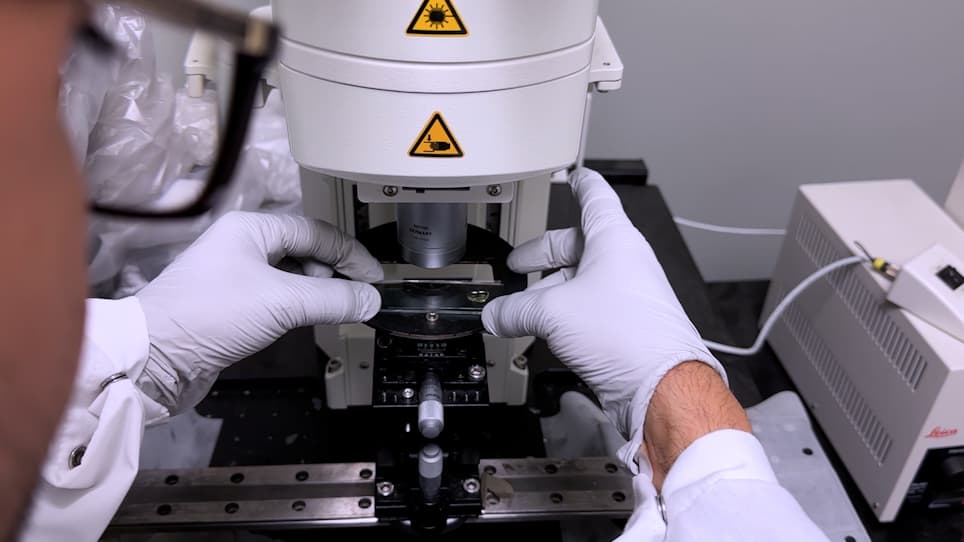 Detection and Quantitation of Label-Retaining Cells in Mouse Incisors using a 3D Reconstruction Approach after Tissue Clearing