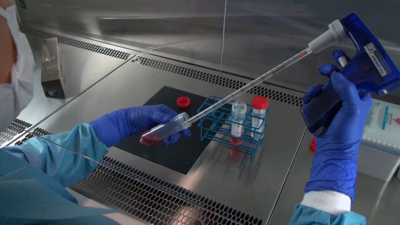 Rapid, Cost-Efficient, Enzyme-Free Passaging of Human Pluripotent Stem Cells on Feeder Cells by Ethylenediaminetetraacetic Acid-Mediated Dis-Adhesion