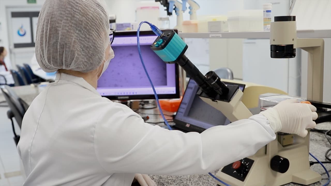 Generation of Tissue Spheroids <em>via</em> a 3D Printed Stamp-Like Device