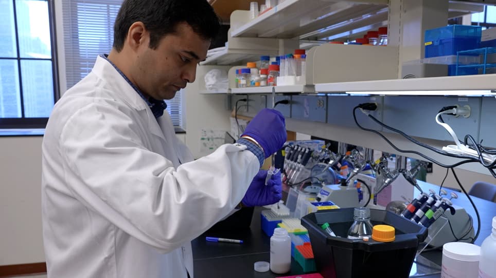 Biochemical Purification and Proteomic Characterization of Amyloid Fibril Cores from the Brain