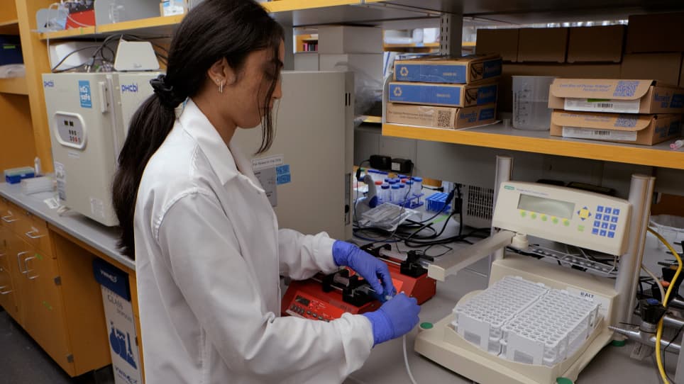Multi-Stream Perfusion Bioreactor Integrated with Outlet Fractionation for Dynamic Cell Culture