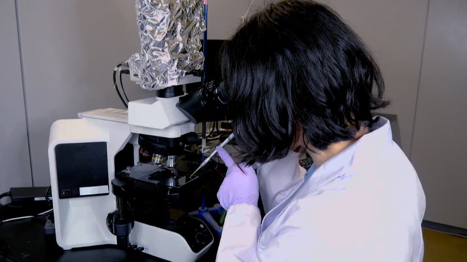 Observation of Photobehavior in Chlamydomonas reinhardtii