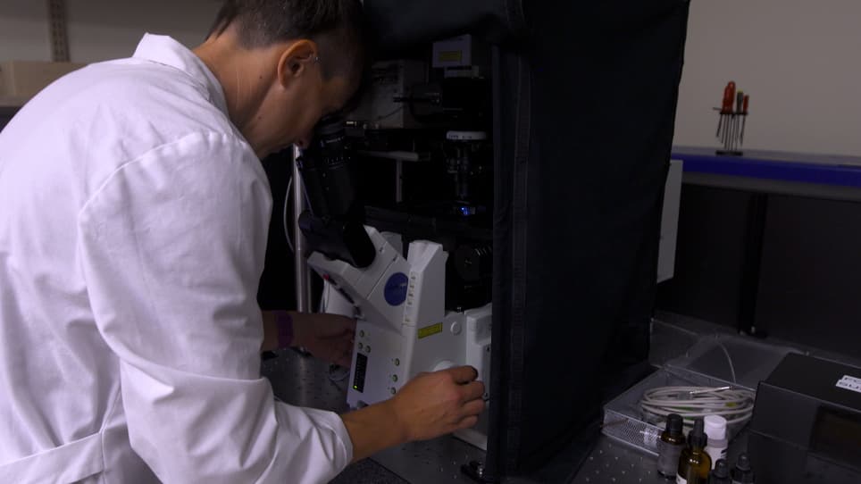 Coherent Anti-Stokes Raman Spectroscopy CARS Application for Imaging Myelination in Brain Slices