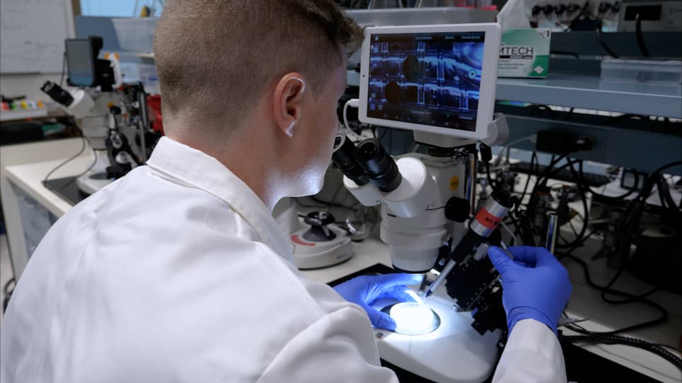 Microtransplantation of Synaptic Membranes to Reactivate Human Synaptic Receptors for Functional Studies
