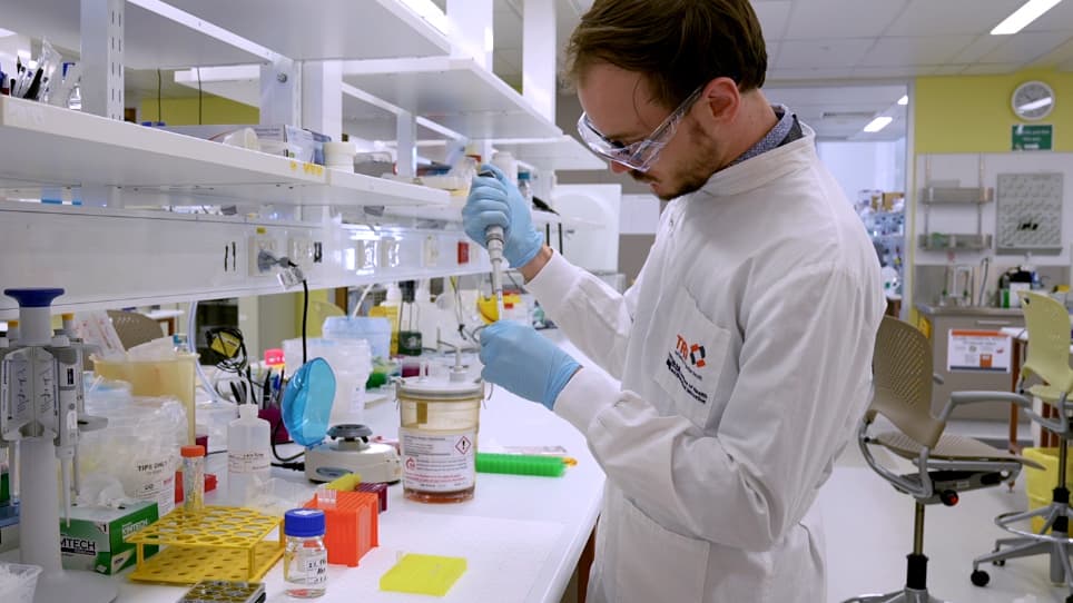 Rapid Optical Clearing for Semi-High-Throughput Analysis of Tumor Spheroids