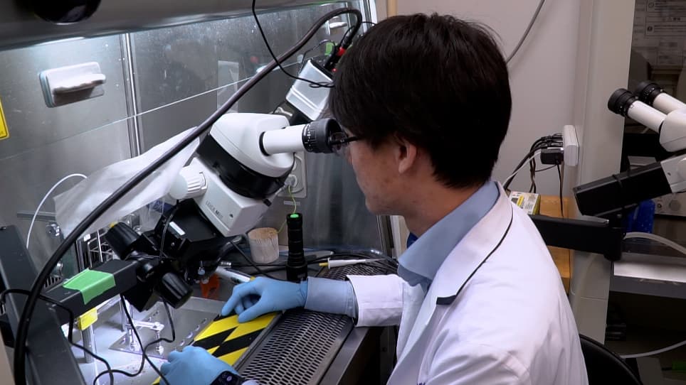 Evaluation and Manipulation of Neural Activity Using Two-Photon Holographic Microscopy