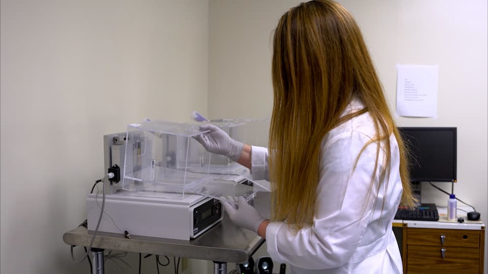 Assessment of Nerve Injury-Induced Mechanical Hypersensitivity in Rats Using an Orofacial Operant Pain Assay