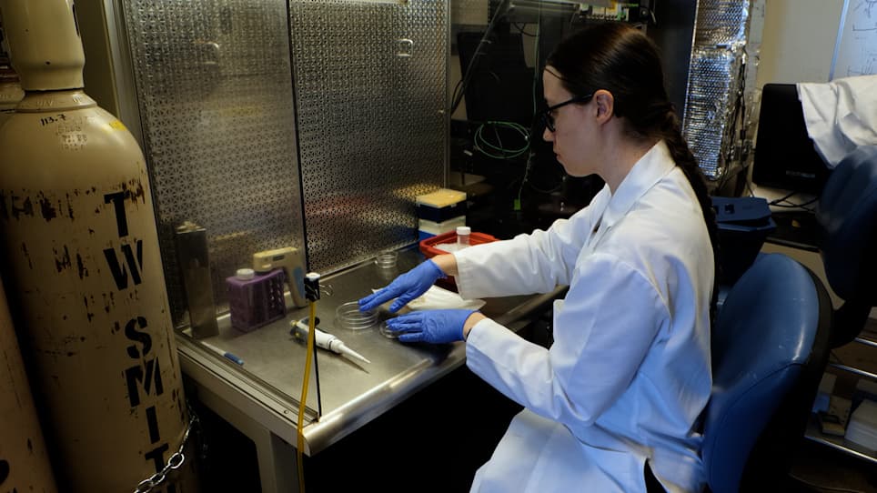 Designing a Bioreactor to Improve Data Acquisition and Model Throughput of Engineered Cardiac Tissues