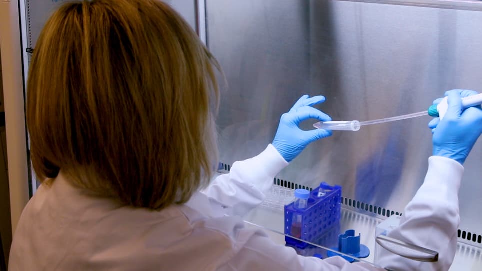 Preclinical Drug Testing in Scalable 3D Engineered Muscle Tissues