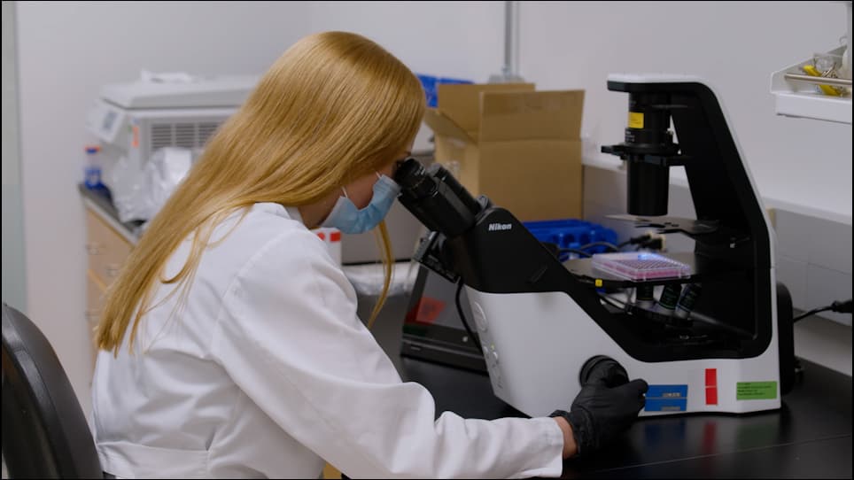 A Scalable, Cell-Based Method for the Functional Assessment of Ube3a Variants