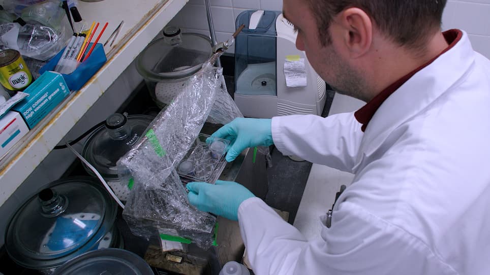 Tick Artificial Membrane Feeding for Ixodes scapularis