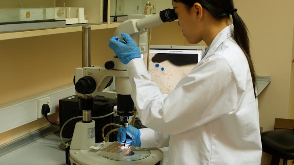 Virus Propagation and Cell-Based Colorimetric Quantification
