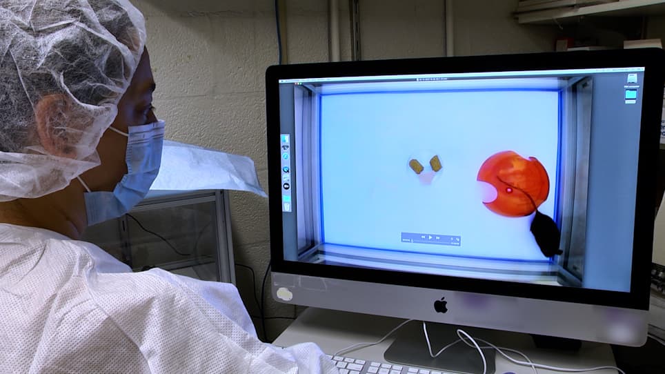 Real-Time Void Spot Assay