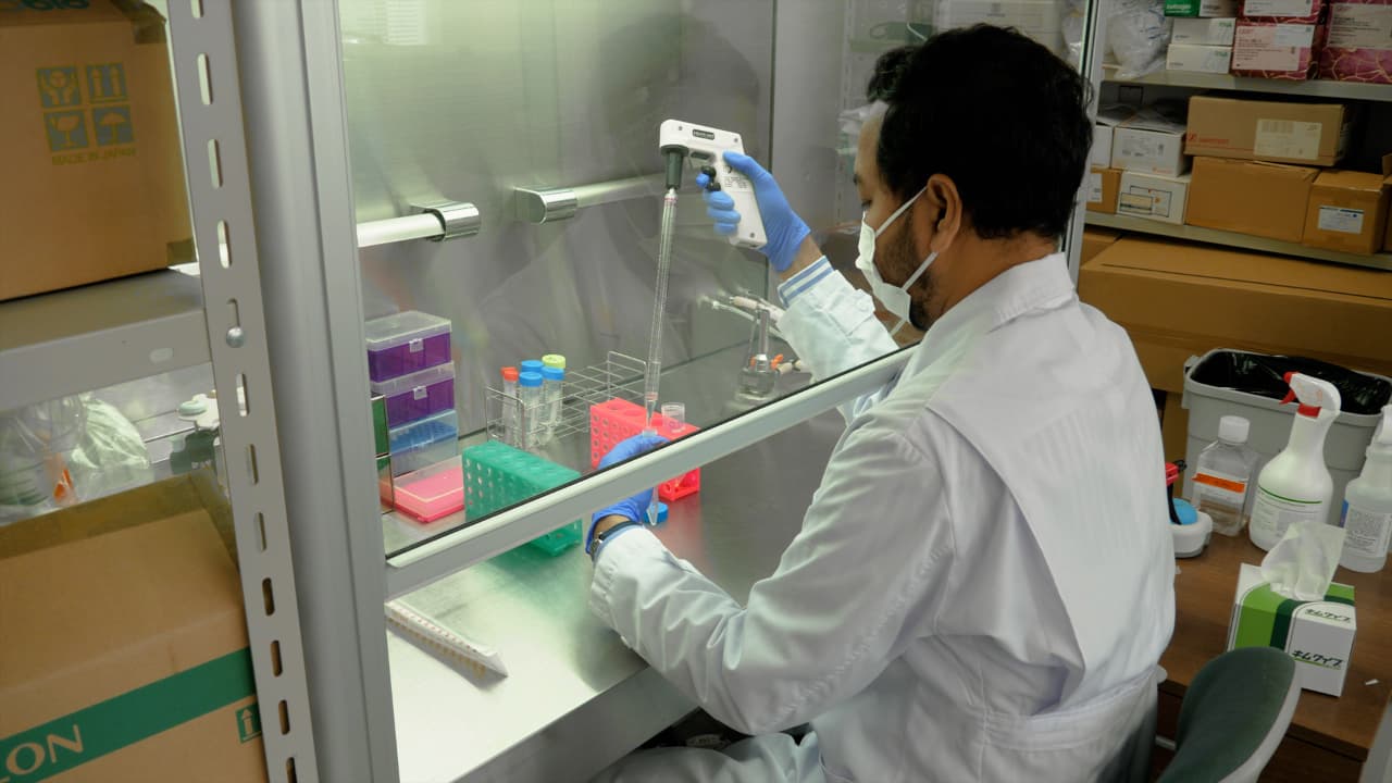 Quantifying Myeloperoxidase-DNA and Neutrophil Elastase-DNA Complexes from Neutrophil Extracellular Traps by Using a Modified Sandwich ELISA
