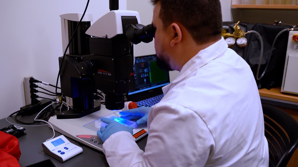 Long-Term Culture of Individual <em>Caenorhabditis elegans</em> on Solid Media for Longitudinal Fluorescence Monitoring and Aversive Interventions