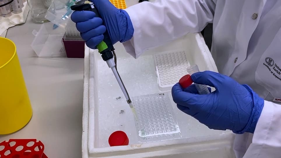 Measuring Caspase Activity Using a Fluorometric Assay or Flow Cytometry
