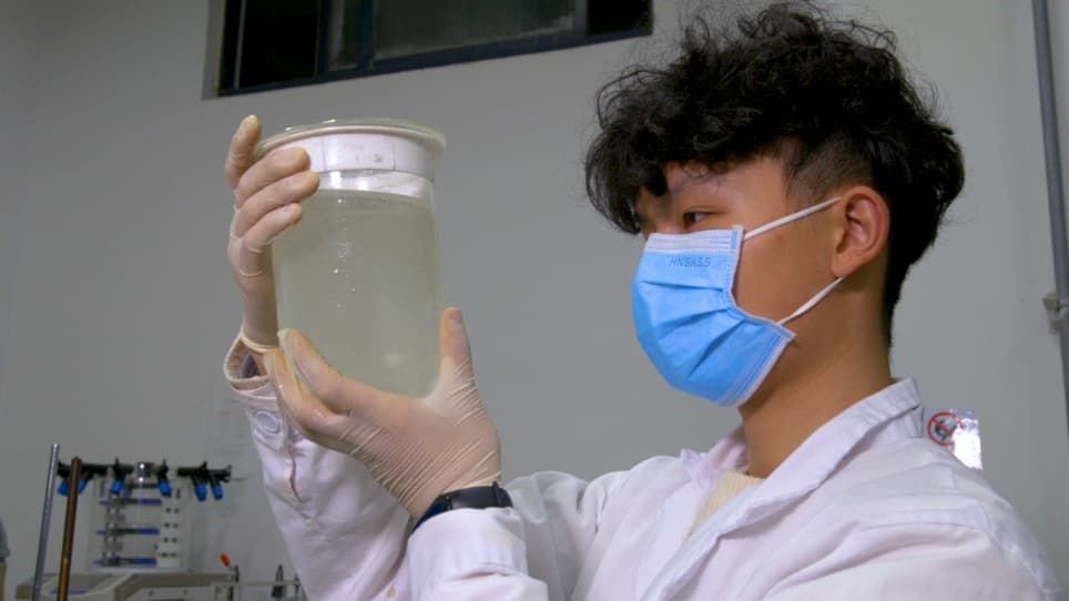 Formation of Dispersible Taohong Siwu Tablets