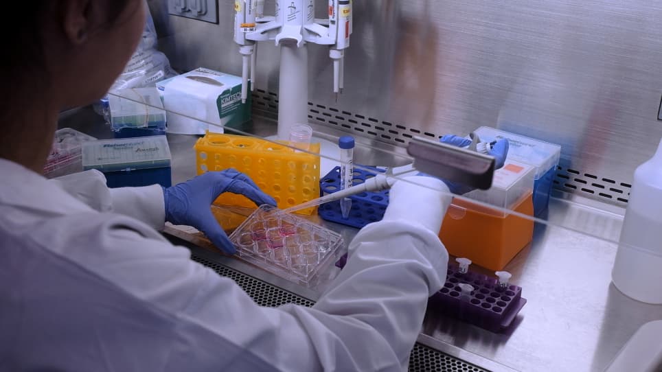 Demonstration of the DNA Fiber Assay for Investigating DNA Damage and Repair Dynamics Induced by Nanoparticles