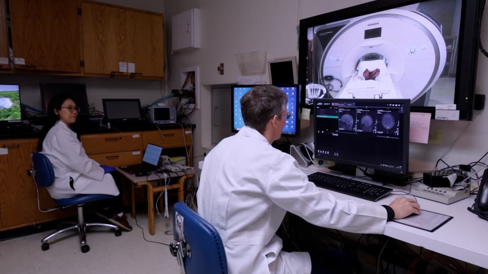 Equipment Setup and Artifact Removal for Simultaneous Electroencephalogram and Functional Magnetic Resonance Imaging for Clinical Review in Epilepsy