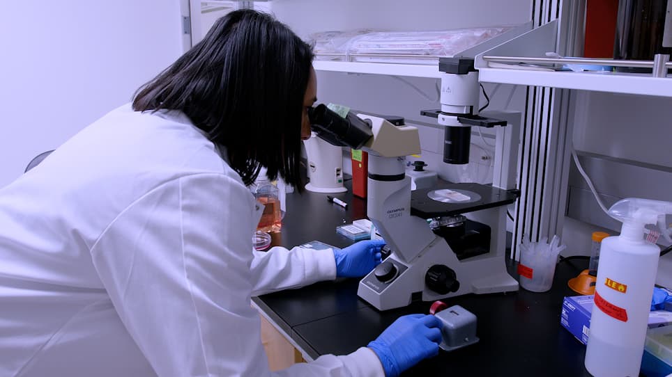 Quantifying Replication Stress in Ovarian Cancer Cells Using Single-Stranded DNA Immunofluorescence