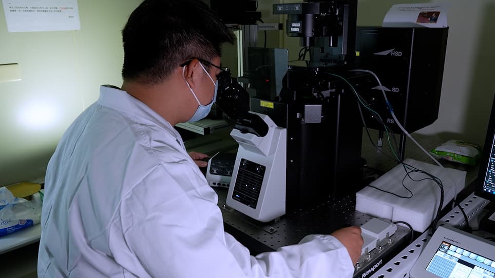 Monitoring Stub1-Mediated Pexophagy