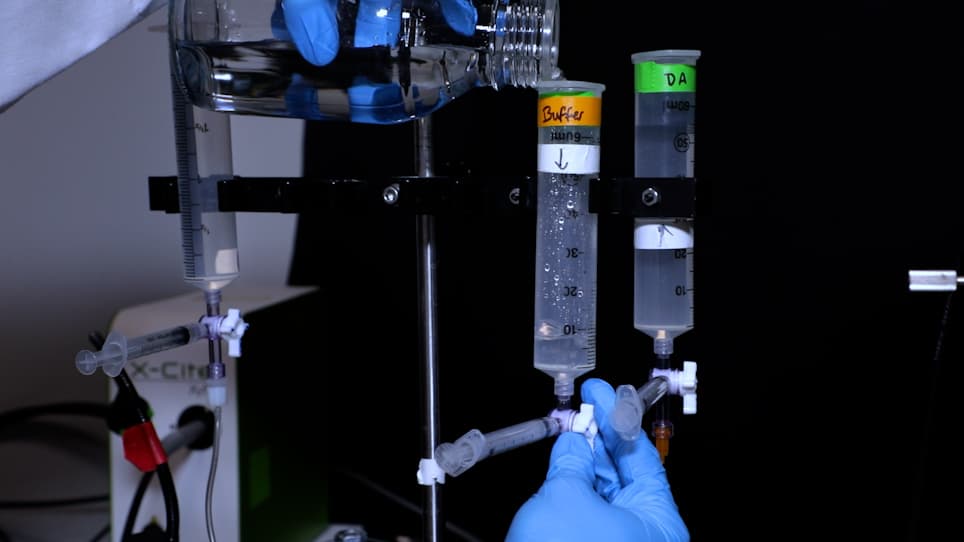 Automated Multimodal Stimulation and Simultaneous Neuronal Recording from Multiple Small Organisms