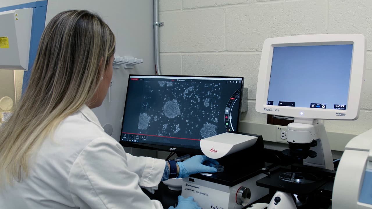 Semi-Automated Phenotypic Analysis of Functional 3D Spheroid Cell Cultures