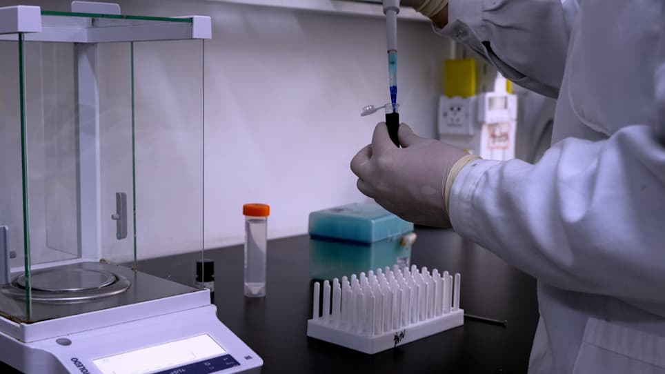 A Mouse Ear Model for Allergic Contact Dermatitis Evaluation
