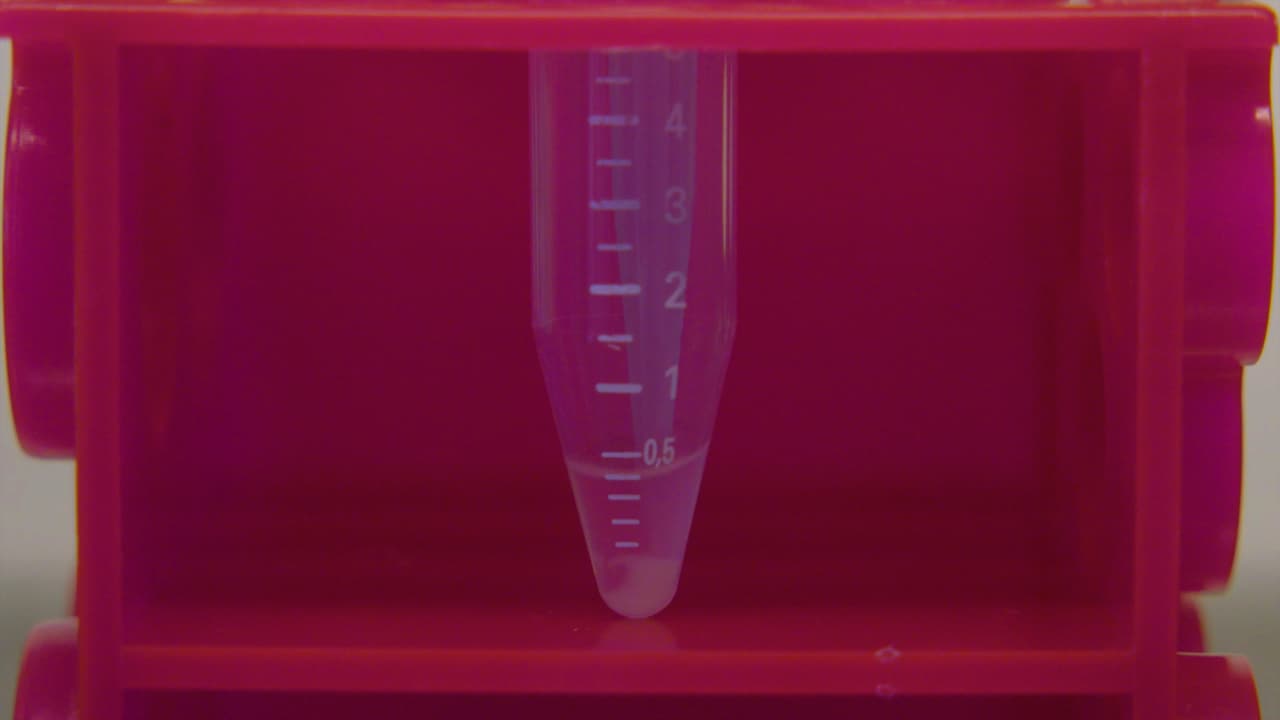 Two-Step Tag-Free Isolation of Mitochondria for Improved Protein Discovery and Quantification