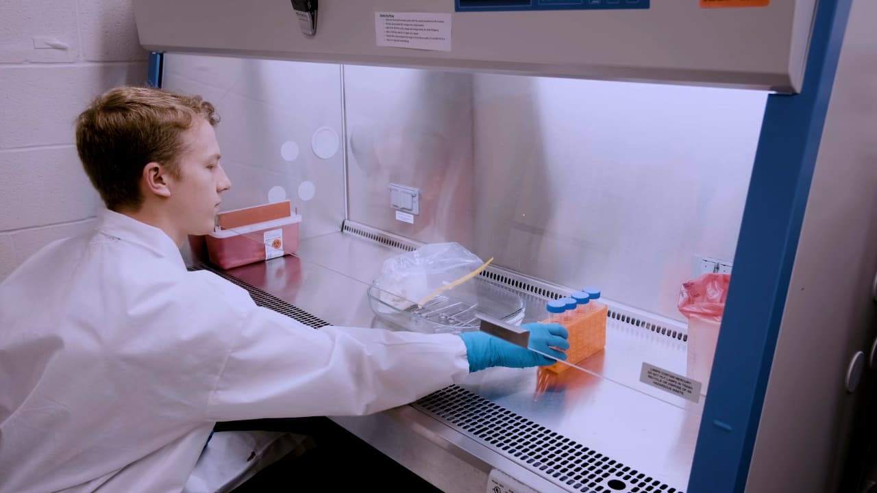 Dissection and Isolation of Region-Specific Decellularized Lung Tissue