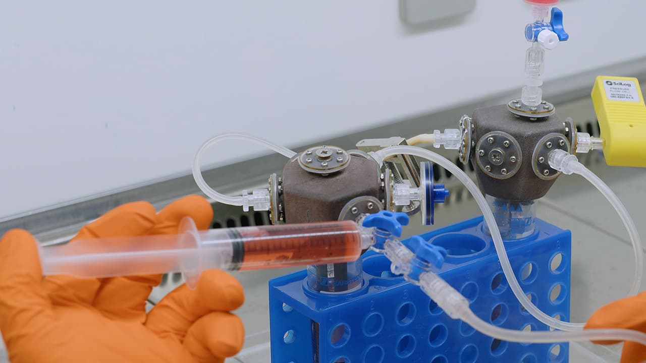 <em>Ex Vivo</em> Perfusion Culture of Large Blood Vessels in a 3D Printed Bioreactor